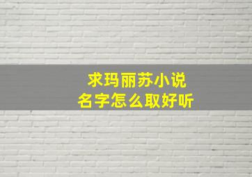 求玛丽苏小说名字怎么取好听