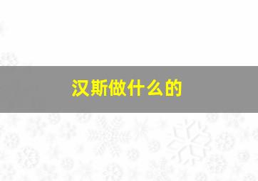 汉斯做什么的