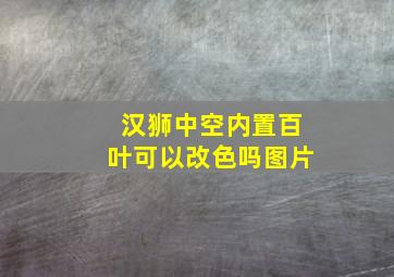 汉狮中空内置百叶可以改色吗图片