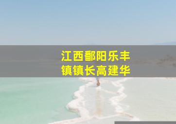 江西鄱阳乐丰镇镇长高建华