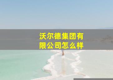 沃尔德集团有限公司怎么样