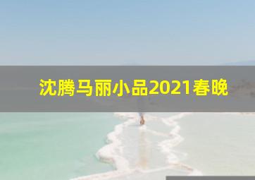 沈腾马丽小品2021春晚