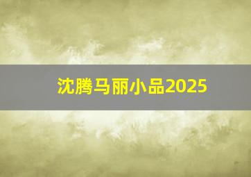 沈腾马丽小品2025