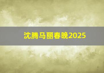 沈腾马丽春晚2025