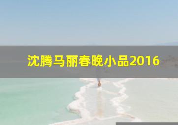 沈腾马丽春晚小品2016