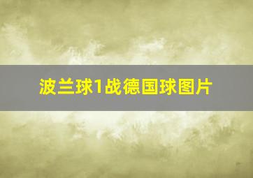 波兰球1战德国球图片