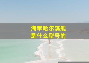 海军哈尔滨舰是什么型号的