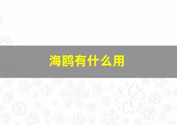 海鸥有什么用