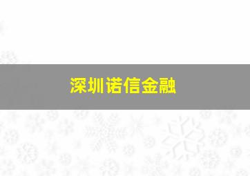 深圳诺信金融