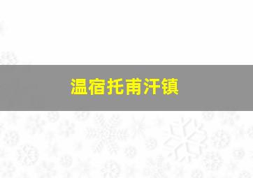 温宿托甫汗镇