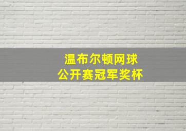 温布尔顿网球公开赛冠军奖杯