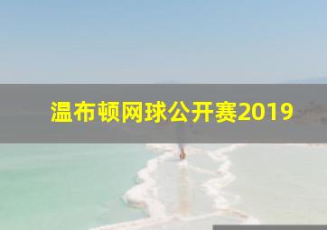 温布顿网球公开赛2019