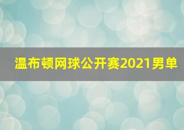 温布顿网球公开赛2021男单