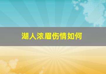 湖人浓眉伤情如何