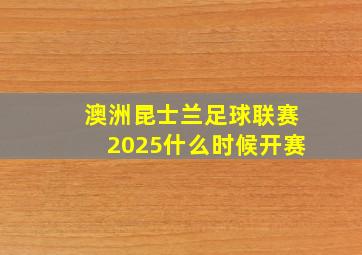 澳洲昆士兰足球联赛2025什么时候开赛