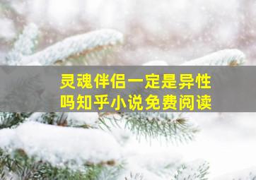 灵魂伴侣一定是异性吗知乎小说免费阅读