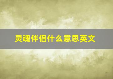 灵魂伴侣什么意思英文