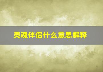 灵魂伴侣什么意思解释