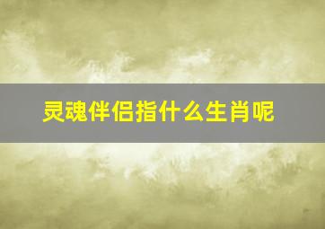 灵魂伴侣指什么生肖呢