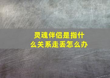 灵魂伴侣是指什么关系走丢怎么办