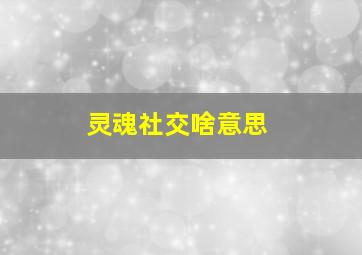 灵魂社交啥意思