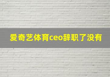 爱奇艺体育ceo辞职了没有