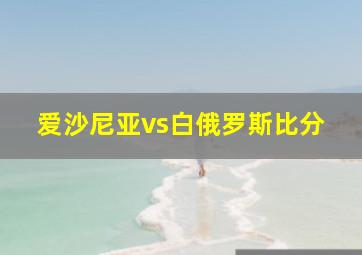 爱沙尼亚vs白俄罗斯比分