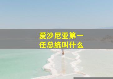 爱沙尼亚第一任总统叫什么