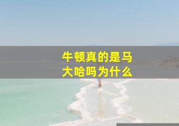 牛顿真的是马大哈吗为什么