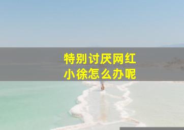 特别讨厌网红小徐怎么办呢