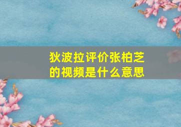 狄波拉评价张柏芝的视频是什么意思