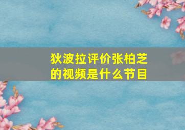 狄波拉评价张柏芝的视频是什么节目