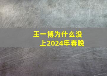 王一博为什么没上2024年春晚