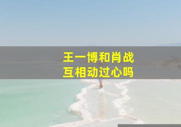 王一博和肖战互相动过心吗