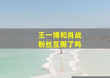 王一博和肖战粉丝互撕了吗