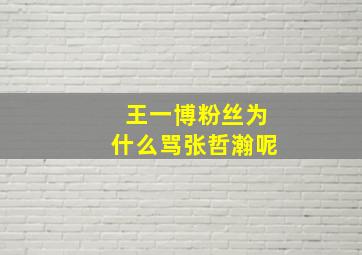 王一博粉丝为什么骂张哲瀚呢