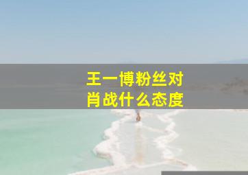 王一博粉丝对肖战什么态度