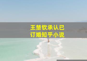 王楚钦承认已订婚知乎小说