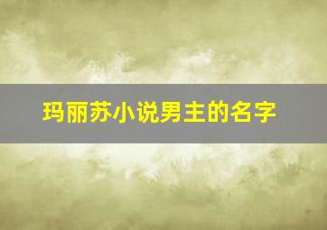 玛丽苏小说男主的名字