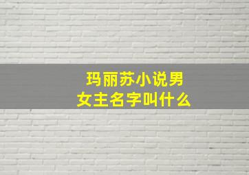 玛丽苏小说男女主名字叫什么