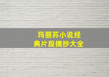 玛丽苏小说经典片段摘抄大全