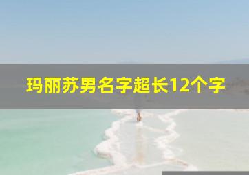 玛丽苏男名字超长12个字