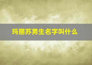 玛丽苏男生名字叫什么