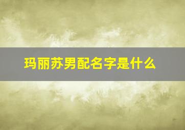 玛丽苏男配名字是什么