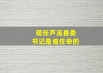 现任芦溪县委书记是谁任命的