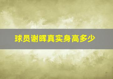 球员谢晖真实身高多少