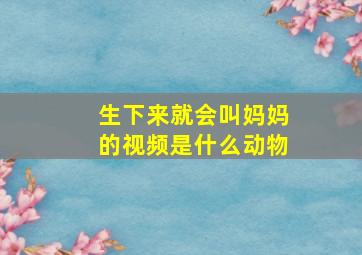 生下来就会叫妈妈的视频是什么动物