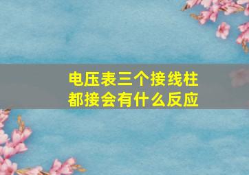 电压表三个接线柱都接会有什么反应