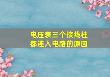 电压表三个接线柱都连入电路的原因