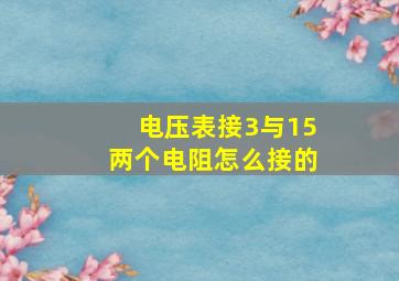 电压表接3与15两个电阻怎么接的